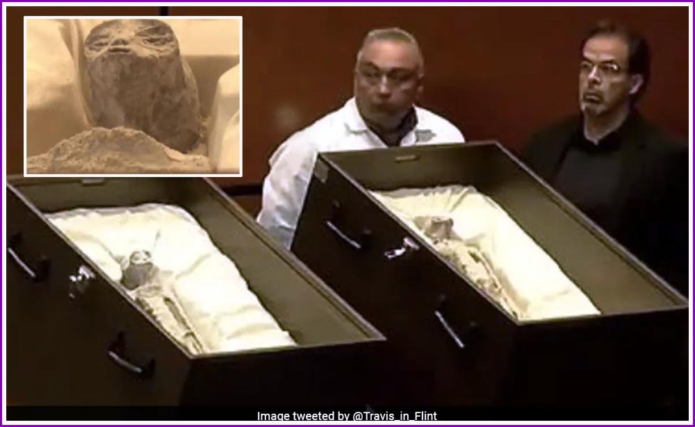 Mysterious-non-human-alien