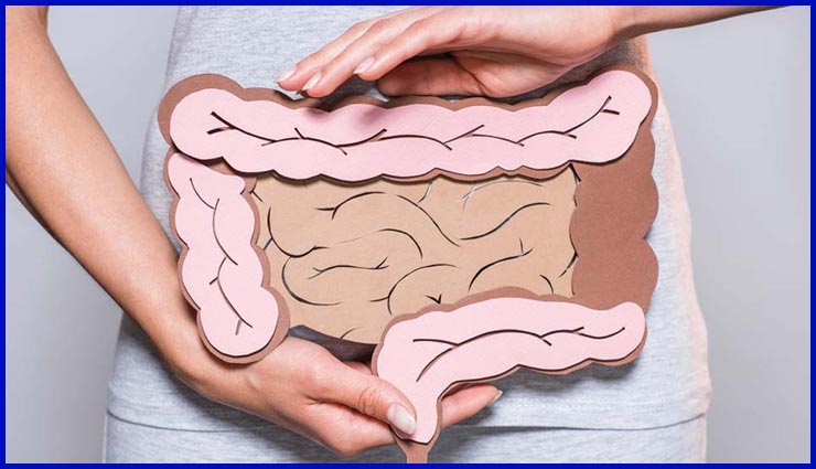 Digestion