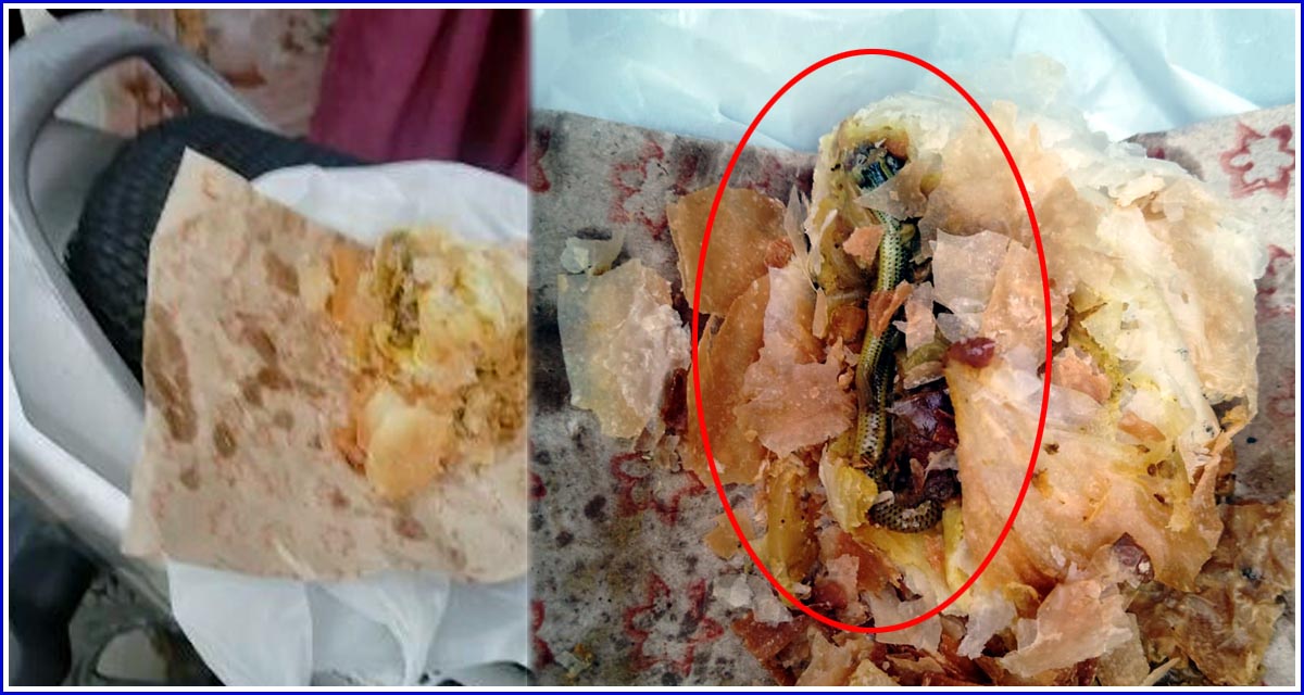 Baby Snake in Cury puff